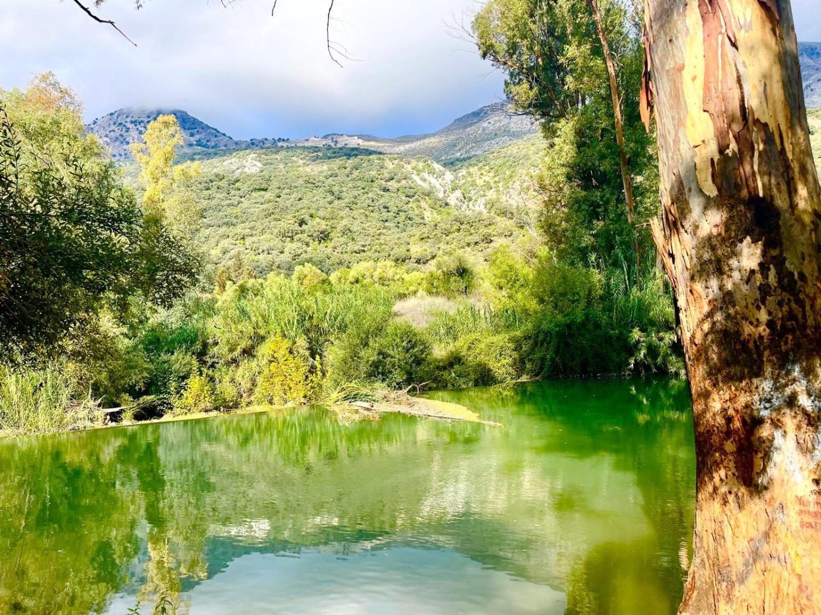 Casa El Cerro Villa Cortes de la Frontera Buitenkant foto